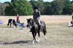 WJ7_3682