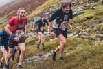 Langdale-446