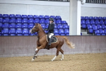 SBM_000239