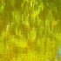 21 50P9200070