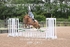 BPP_0475