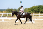 SBM_011654