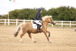 SBM_007343