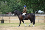 WJ6_3777