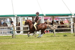 SBM_15795