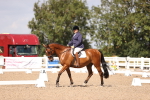 SBM_03646