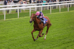 150524-Race 1-Crystal Delight-1438