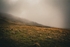 DSCF4190
