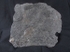 crd013 Pentacrinites dichotomus
