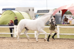 SBM_14644
