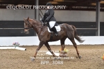 BPP_3088
