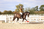 SBM_18161