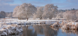River Wey
