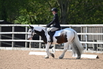 WJ6_8019