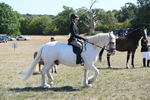 WJ6_8270