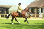 SBM_42962
