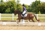 SBM_007636