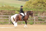 SBM_001904