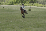 BVHT 140517  IXC -865