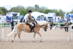 SBM_10733