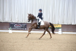 SBM_003946