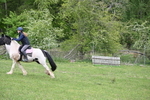 WJ6_3480