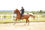 SBM_008063