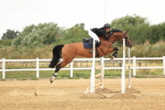 SBM_002806