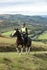 SPXX3318