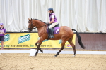 SBM_009050