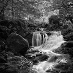 The Falls