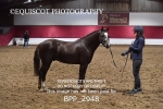 BPP_2948