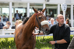 080624-Race 1-Rapido Girl-4583