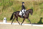 3E7A4281