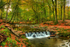 Tollymore Forest Park