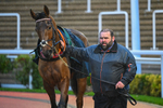 141125-Race 6-French Emperor-1259