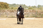 SBM_003618