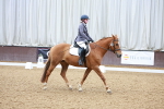 SBM_000980