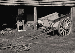 Traditional Black & White portfolio