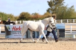 SBM_08459