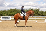 SBM_006240