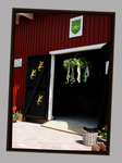 Eija's Garden 1