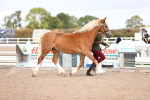 SBM_14440