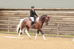 SBM_001903
