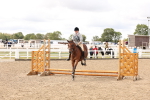 SBM_04623