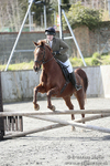 BVRC SJ 170319 216