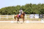 SBM_010396