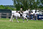 SBM_17401