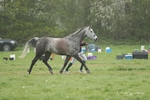 SPXX4170