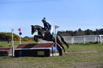 WJ5_7607